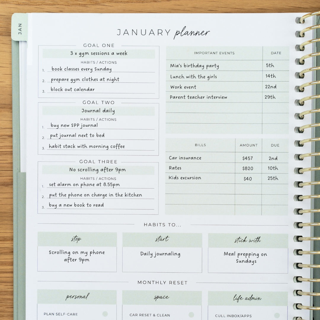 2025 Daily Planner + Luxe Pen - Vintage Sage - Ltd Edition